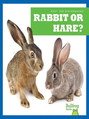 cover image of Rabbit or Hare?